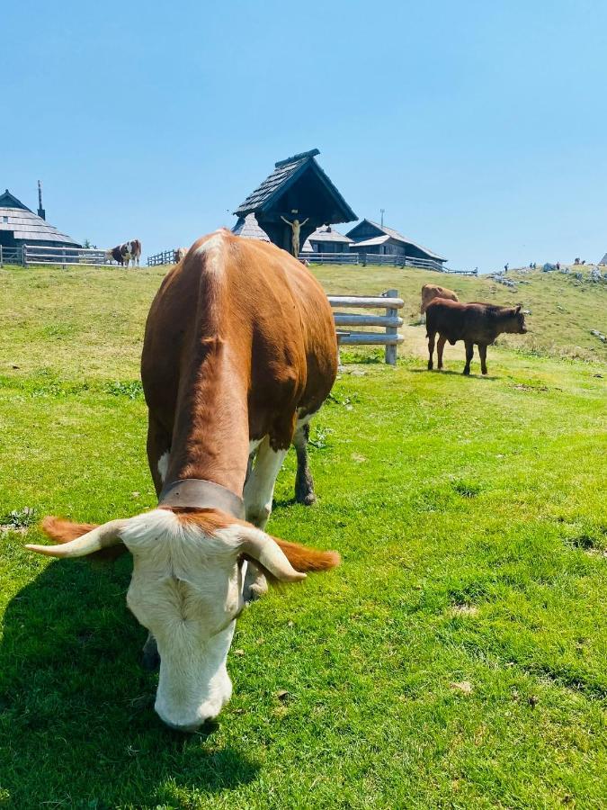Velika Planina Koca Kekec Villa Stahovica Kültér fotó