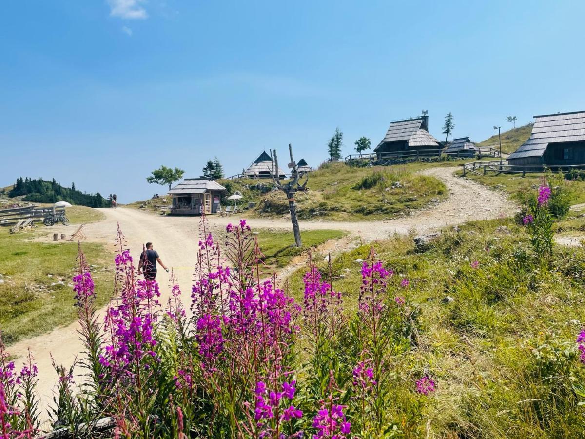 Velika Planina Koca Kekec Villa Stahovica Kültér fotó