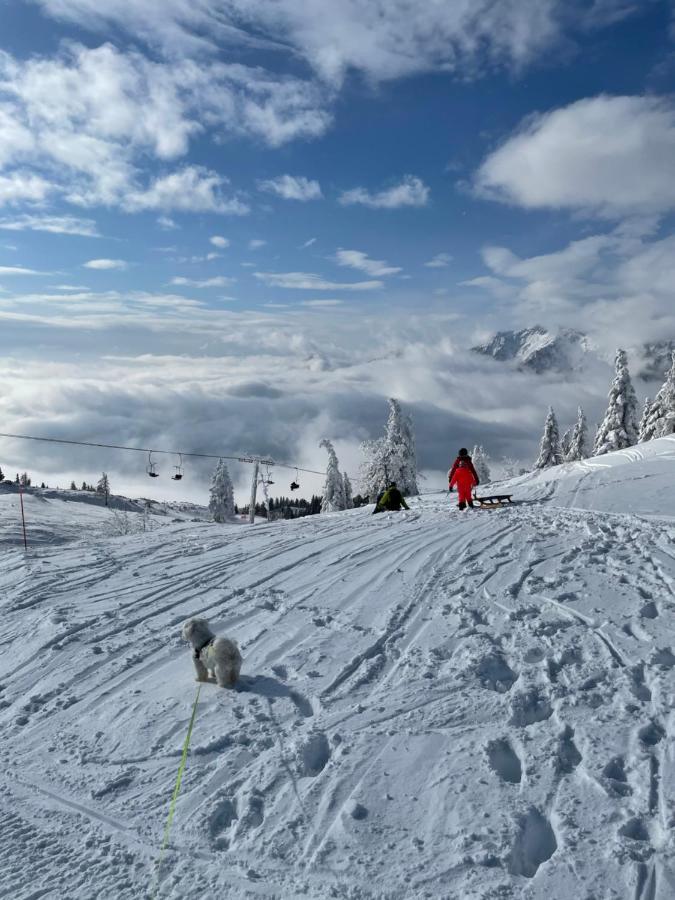 Velika Planina Koca Kekec Villa Stahovica Kültér fotó